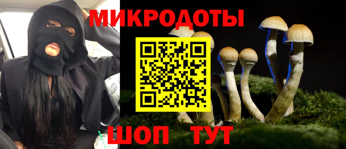 Псилоцибиновые грибы GOLDEN TEACHER Черкесск